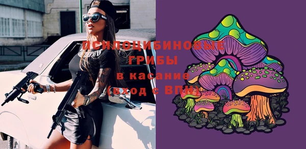 эйфоретик Майский