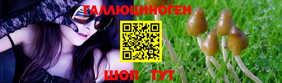 Галлюциногенные грибы MAGIC MUSHROOMS  Вход с VPN  Тейково 